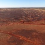 Invasive fire ants jump border from Queensland to NSW