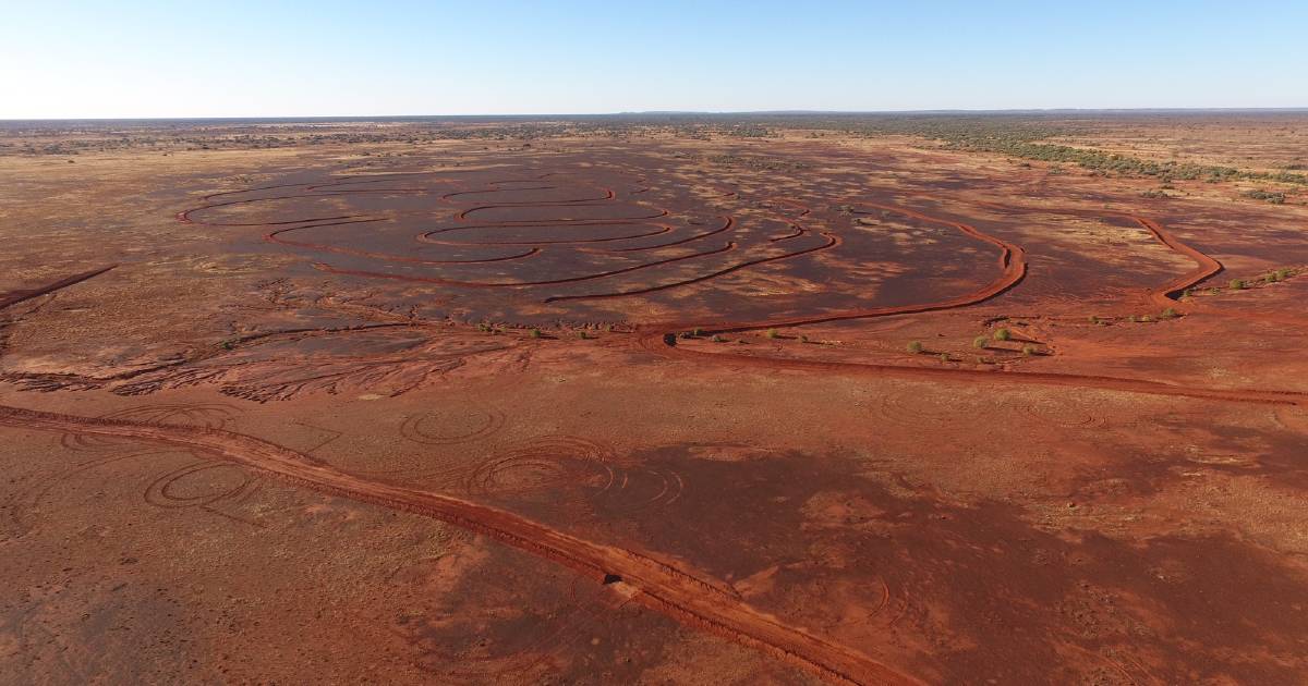 Landholders at the forefront of threatened species conservation project in Western NSW