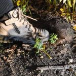 Landholders at the forefront of threatened species conservation project in Western NSW