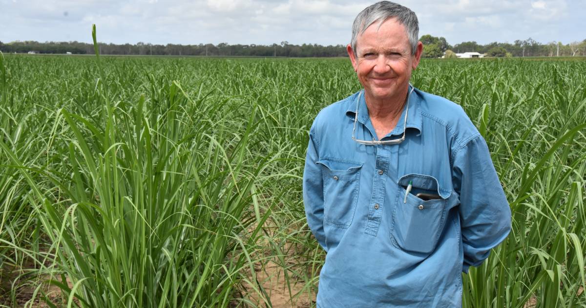 New cane grower technology a success