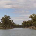 Highly productive Macintyre River country with irrigation