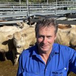 Australians achieve world-first export of live sheep to PNG