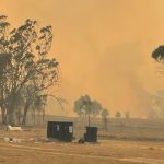 Narromine ball to celebrate harvest on New Years Eve