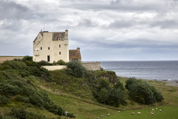 Ballone Castle: How a roof-less shell inhabited by cows became medieval modernism at its finest