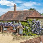 The thatched roof renaissance: How a dying craft got back on its feet