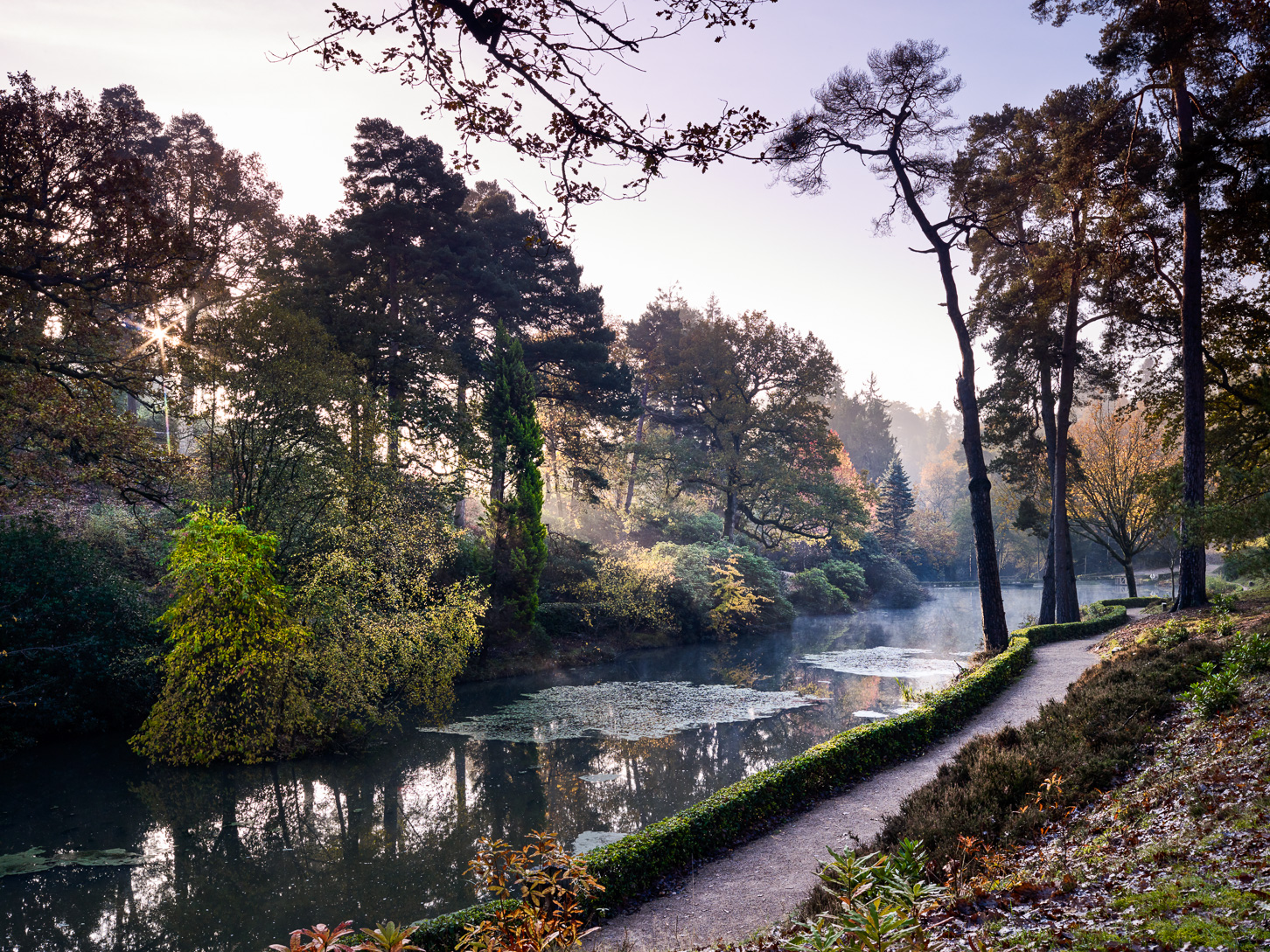 Leonardslee: The gardens that light up West Sussex