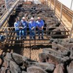 Stunning photos from readers of The Land for National Agriculture Day