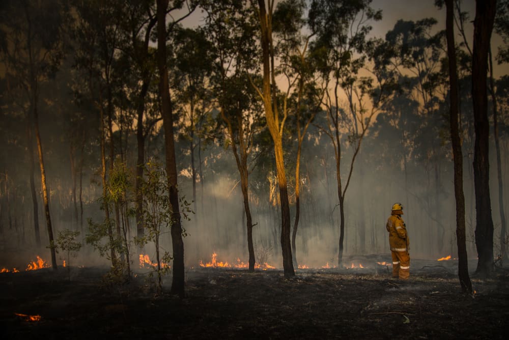 Rural fires – who should be in control?