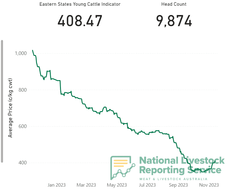 Cattle prices show signs of a rally as EYCI lifts 50c/kg