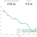 National Feedbase Summary 22 November 2023