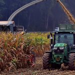 Research looks to transform manure into protein