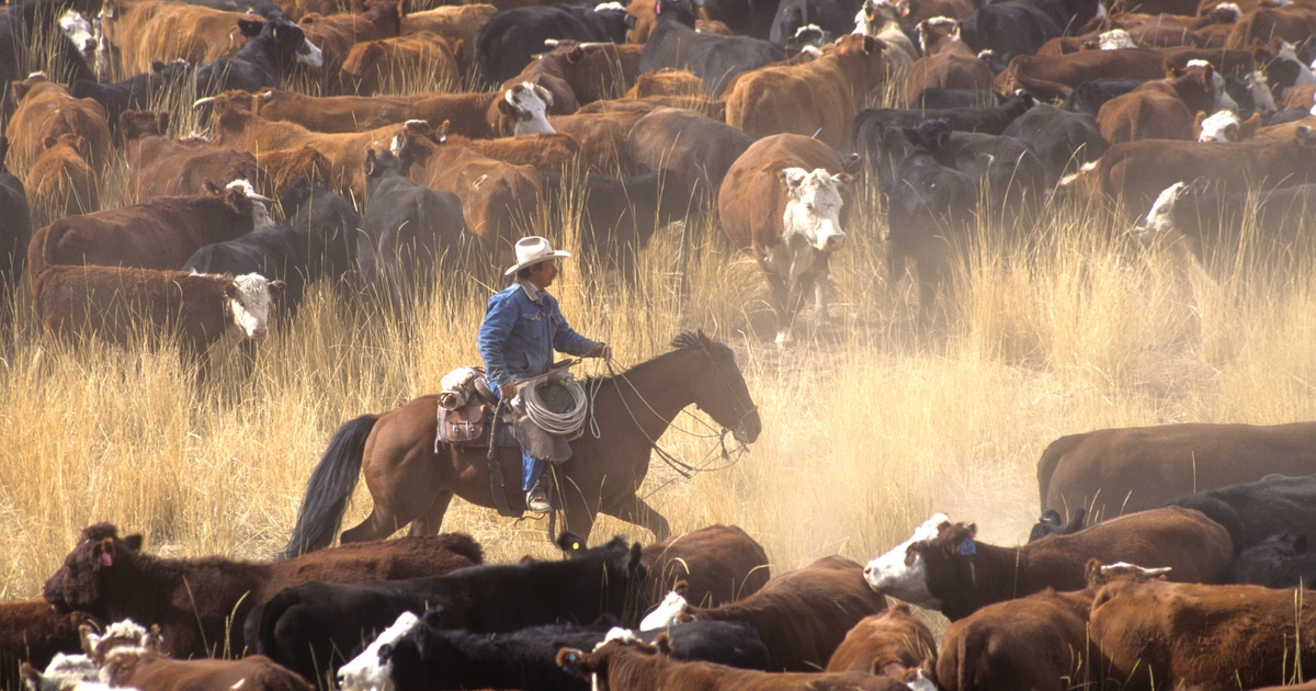 Beef spokespeople join next group of Trailblazers