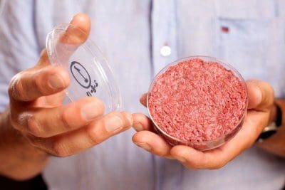 Italy bans ‘frankenstein’ meat, Beyond Meat woes worsen