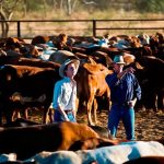 RFS names volunteer who died fighting fire near Walgett