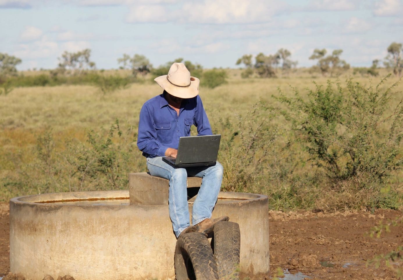 Opportunities in grass and stubble paddocks with plenty of demand for agistment