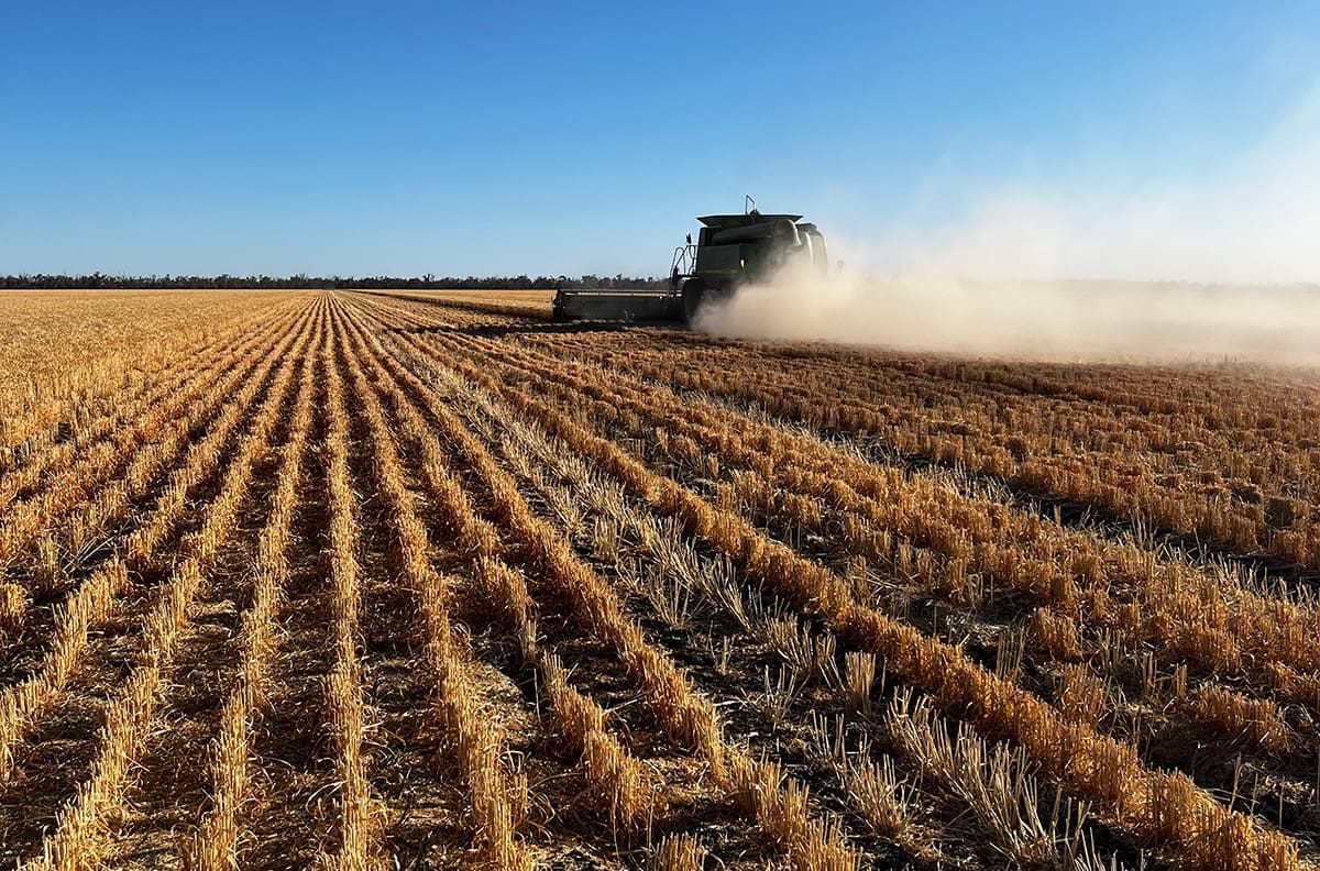 Feedgrain Focus: High-speed harvest fills northern homes