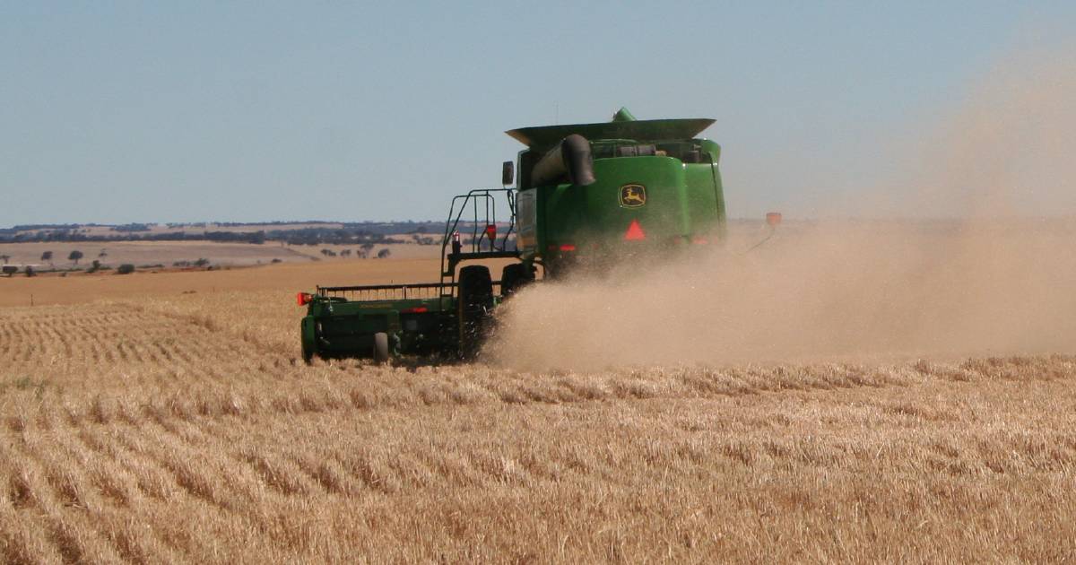 WA graingrowers challenged this harvest by weather conditions | Farm Weekly