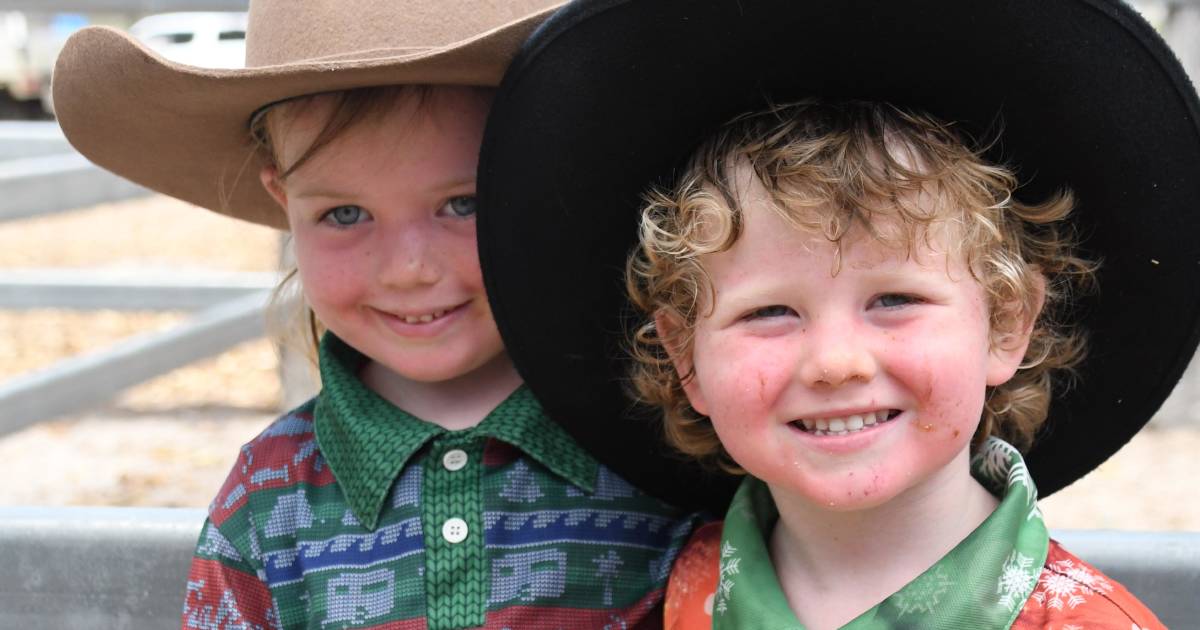 Miriam Vale cattle sale draws a large crowd | Queensland Country Life