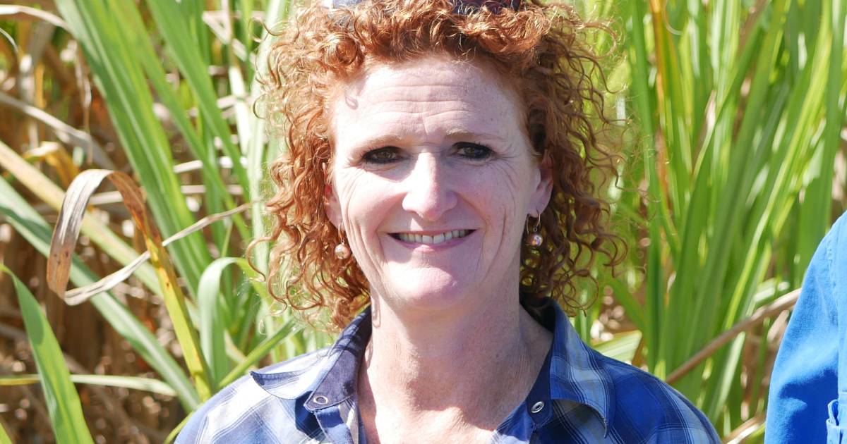 Bundaberg soy and cane grower Judy Plath takes on new role with Soy Australia | Queensland Country Life