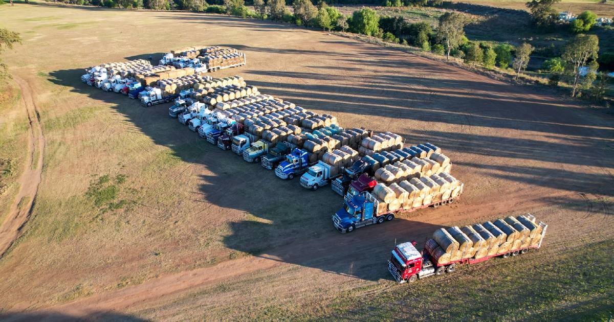 Hay runners set to return to drought-stricken Upper Hunter