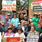 Draft policy calls for comment on NSW wind, solar, and power lines | The Land