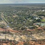 Dalby sale 29 Nov 2023: Yarding lifts in response to rain, prices