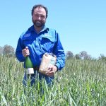 Burnett region cattle producers can reduce freight costs to Murgon saleyard | Queensland Country Life