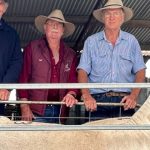 Legislation passes to establish Inspector-General of Animal Welfare and Live Animal Exports