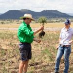 WA graingrowers challenged this harvest by weather conditions | Farm Weekly