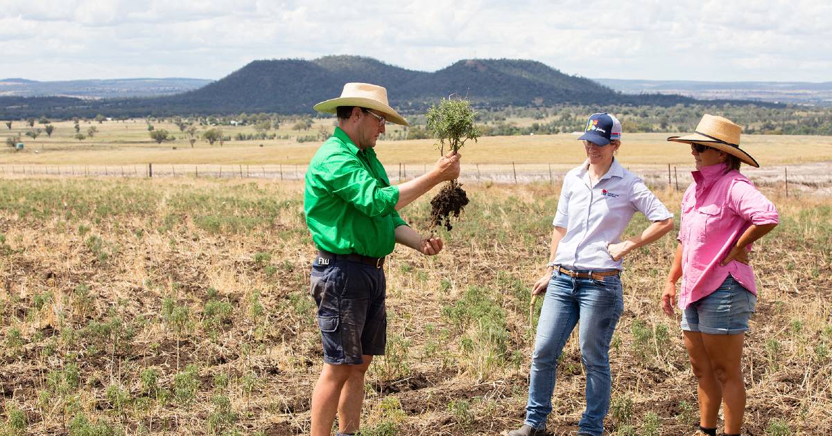 Turning water and even air into a farm income