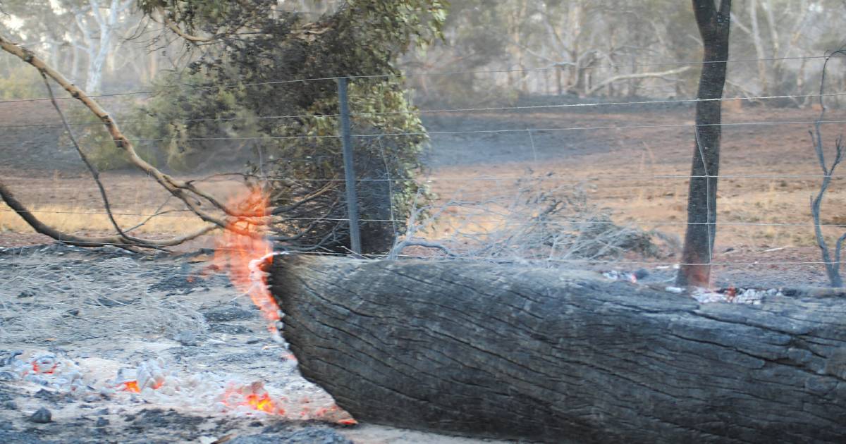 Western Power to mitigate bushfire risk | Farm Weekly