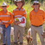 Huge turnout at drought preparedness workshops