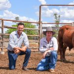 Long-term grazing trial finds high stocking rates with fast rotation optimal