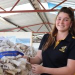 Cows with calves top Wodonga sale