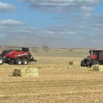 Research project looks to safe guard wild-harvest buffalo supply chain in Northern Territory | Queensland Country Life