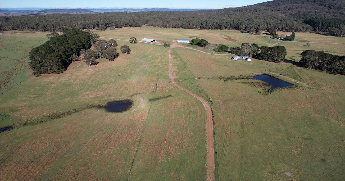 Highly productive property Abbotsford Farm asking $6.6 million