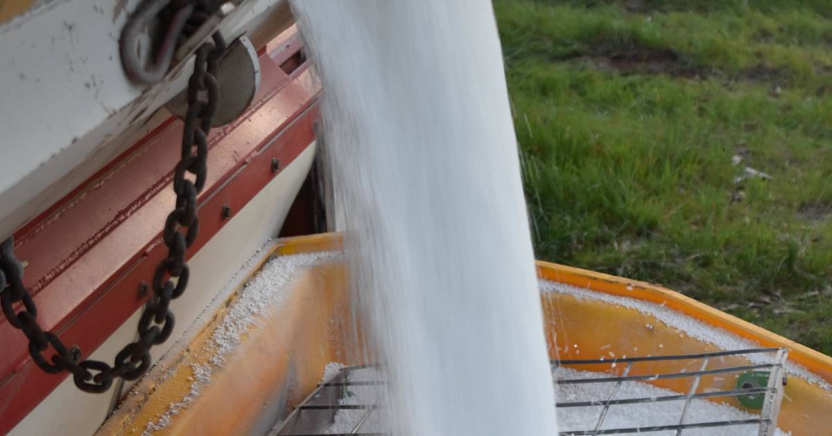 Urea price drop provides grower opportunities