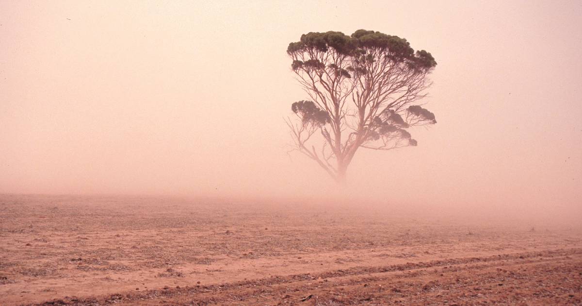 Stubble management protects profitability