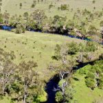 Roma sale 31 Oct 2023: Steers and heifers up 15-30c