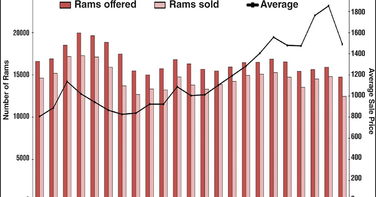 It's a wrap – reflecting on 2023 ram sales