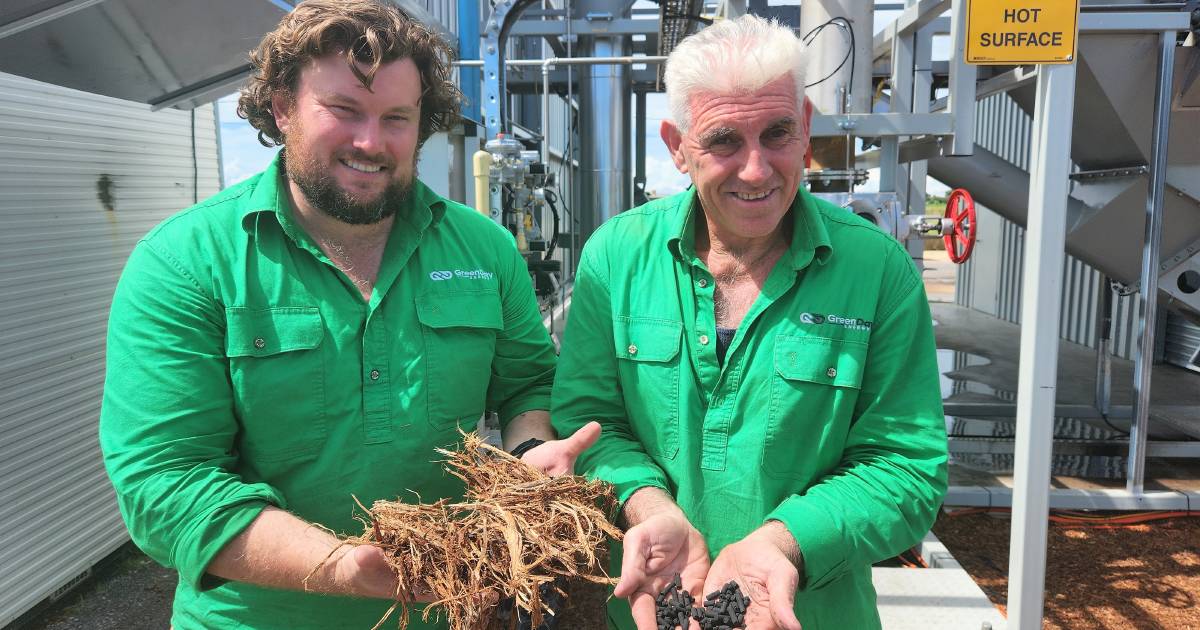 Green Day Energy biomass plant in Richmond currently not operating | North Queensland Register