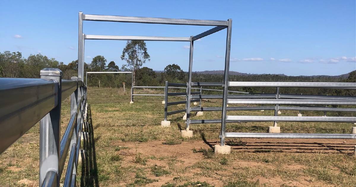 Eight gates stolen from Wyaralong stockyard, owner urges people to be on the lookout | Queensland Country Life