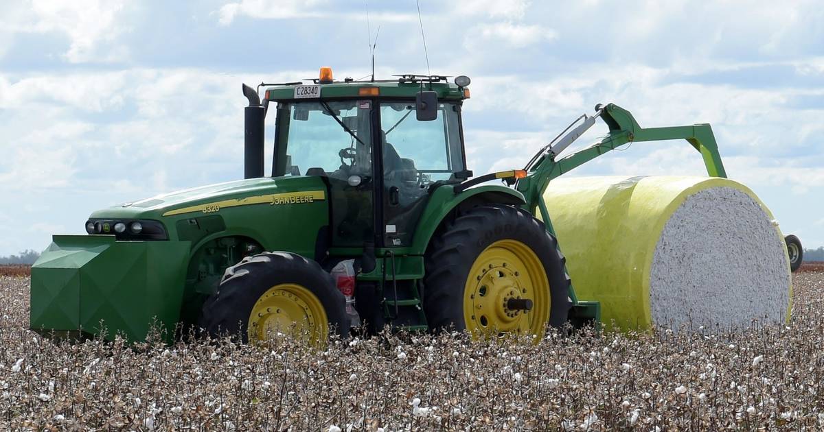 Rainfall a 'game changer' for cotton growers