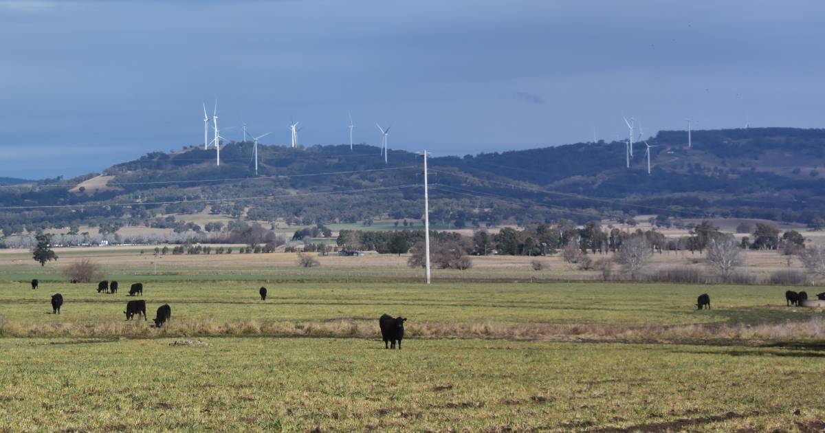 Draft policy calls for comment on NSW wind, solar, and power lines | The Land