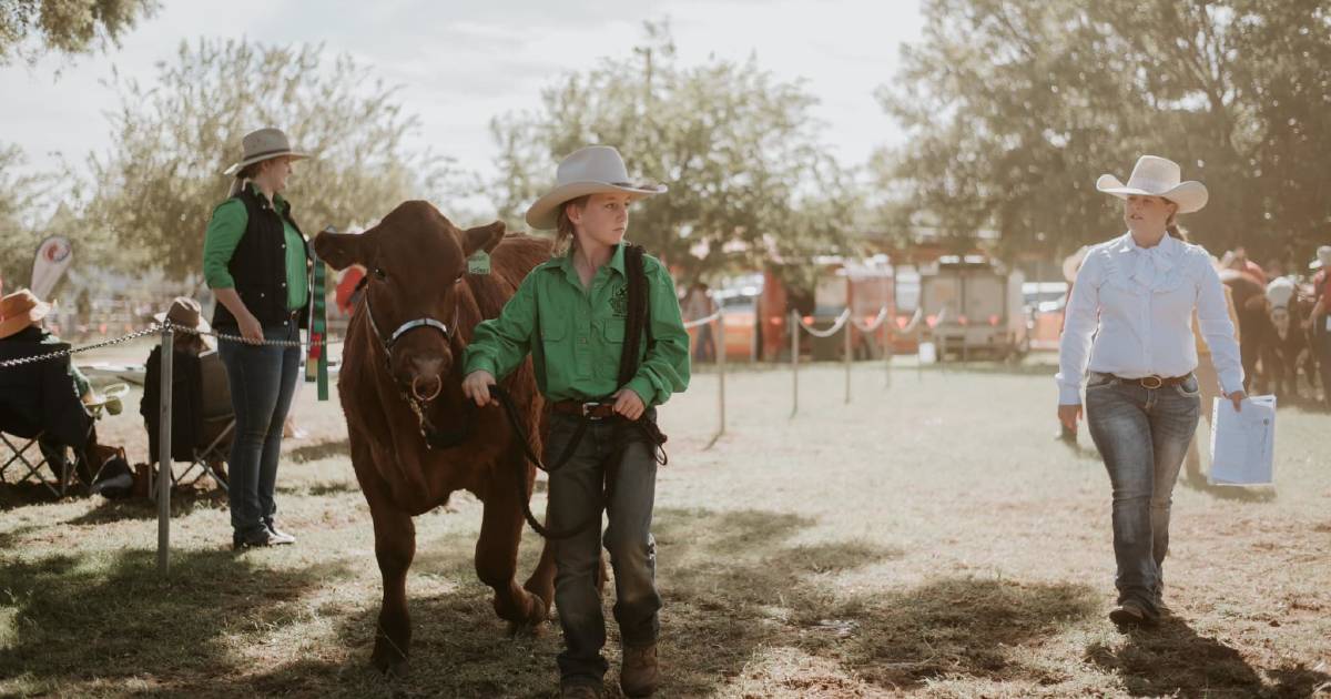 St George Show facing cancellation for the first time since 1885