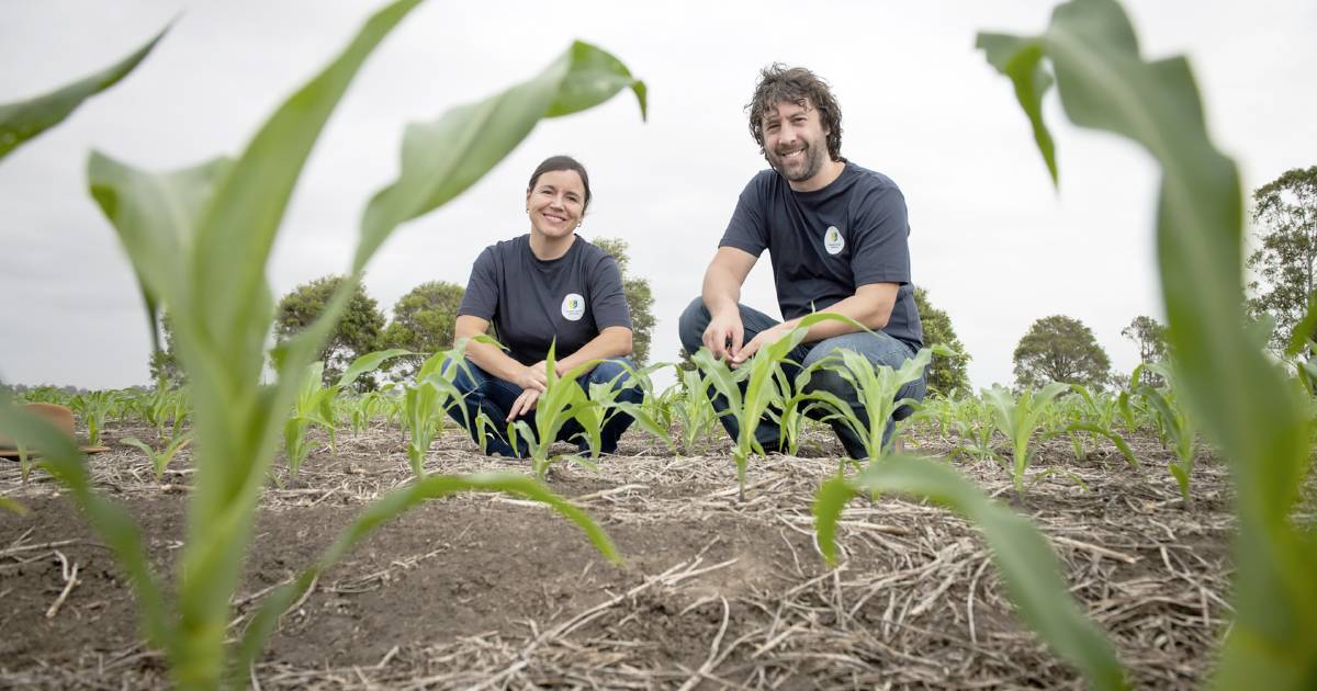 Grain growers sought for cropping method research | Farm Weekly