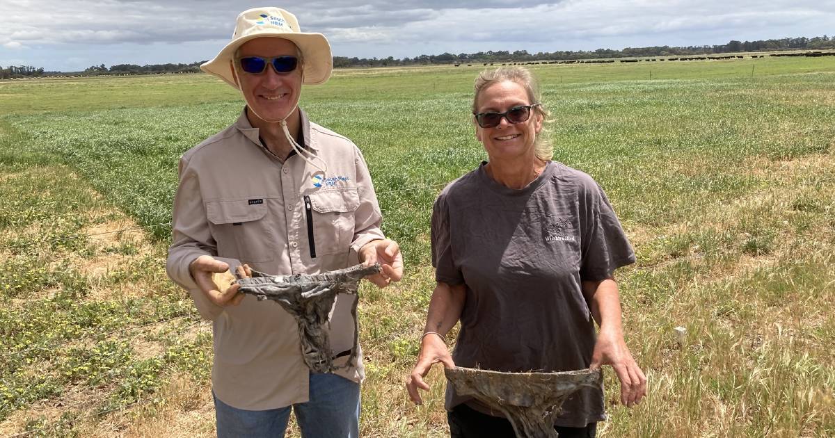 South West Natural Resource Management study soil health | Farm Weekly