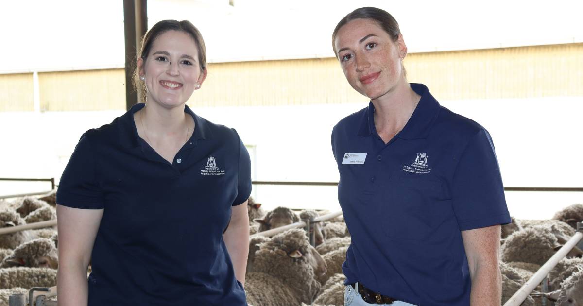 AWI wool bioharvesting demo highlight at DPIRD Katanning Field Day | Farm Weekly