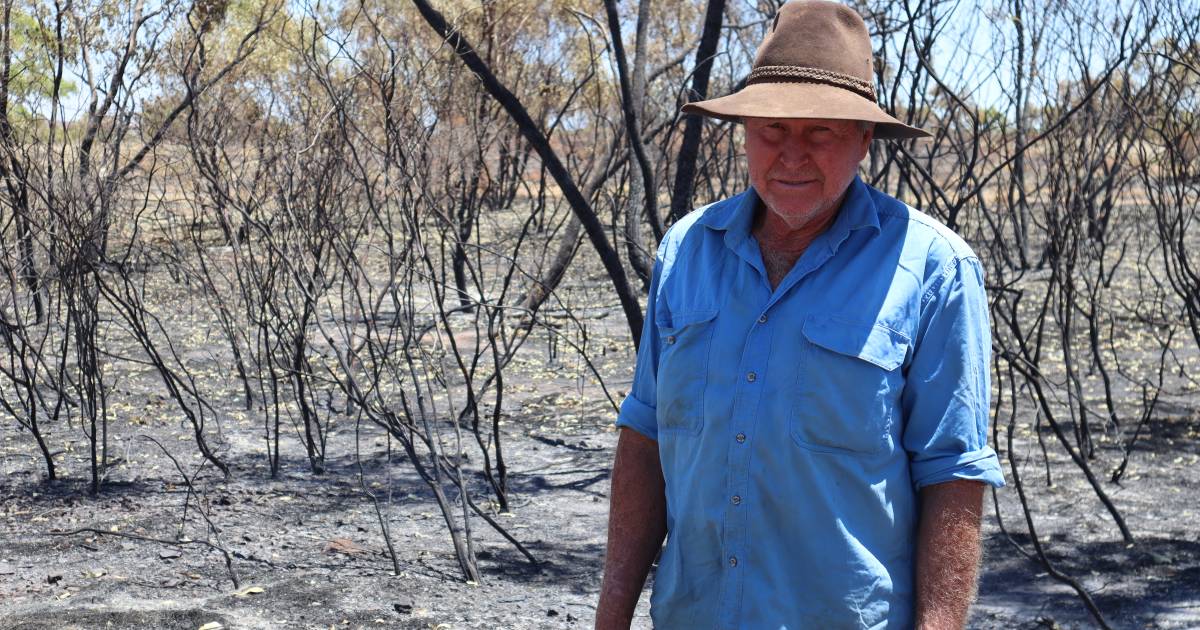 Grazier angered over lack of highway vegetation management as property burns