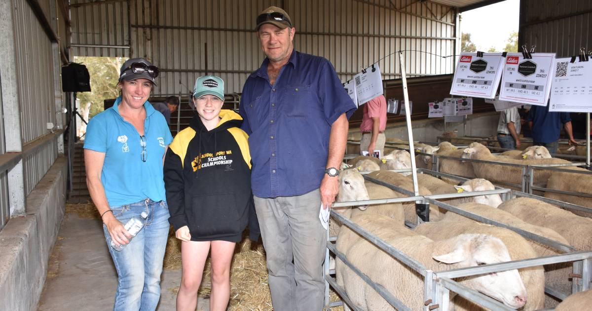 Venturon White Suffolk ram tops $2000 at Boyup Brook | Farm Weekly